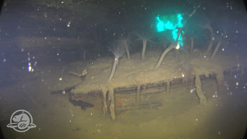 A storage compartment in Captain Crozier’s cabin, with a window visible in the background.